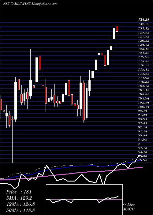  weekly chart CamlinFine