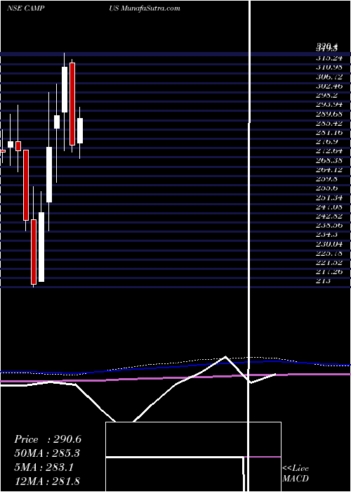  monthly chart CampusActivewear