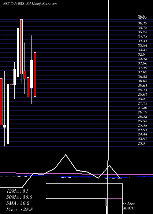  monthly chart CanarysAutomations