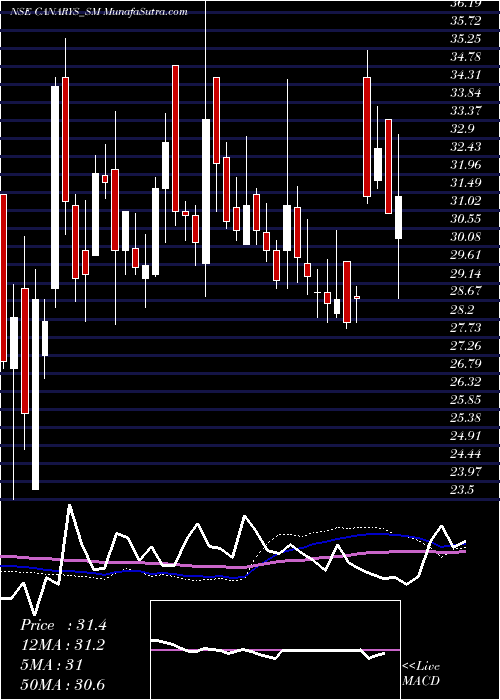  weekly chart CanarysAutomations