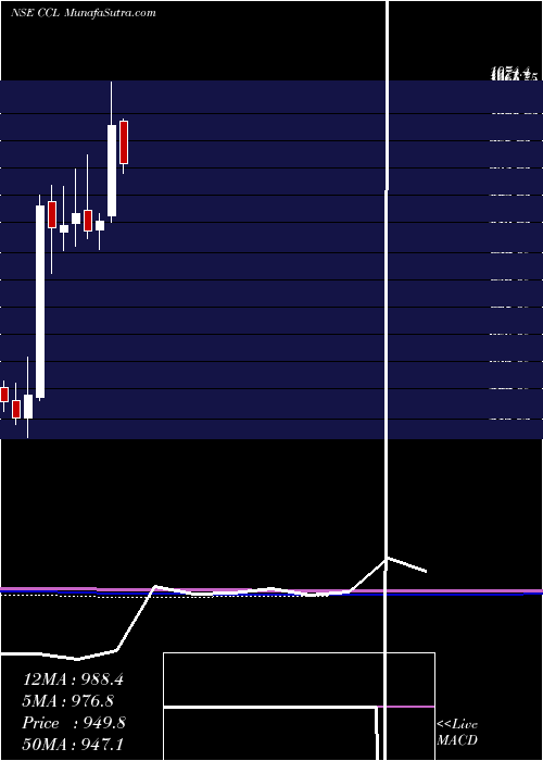  monthly chart CclProducts