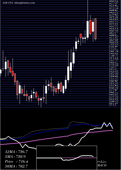  weekly chart CclProducts