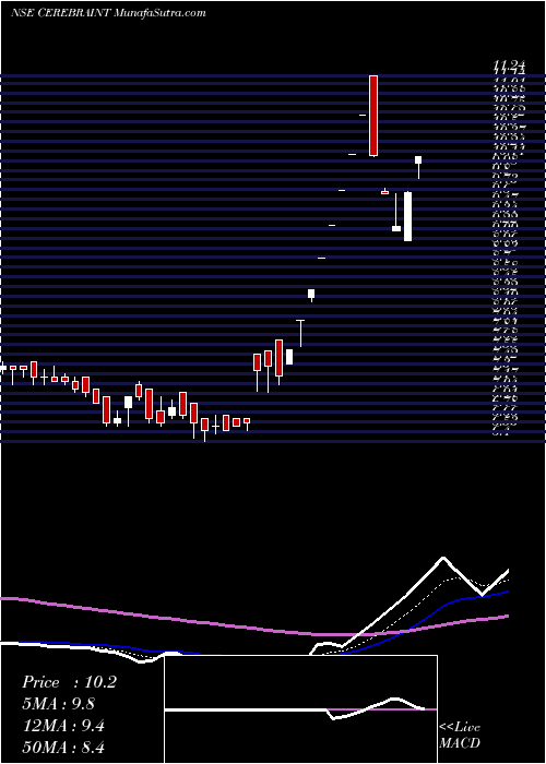  Daily chart Cerebra Integrated Technologies Limited