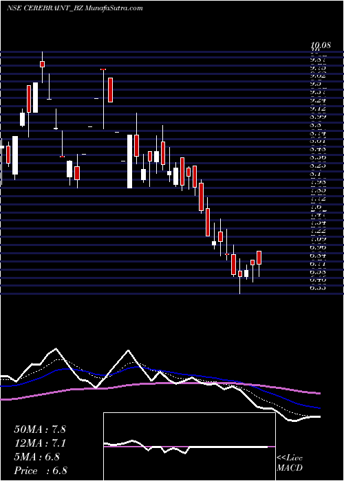  Daily chart Cerebra Int Tech Ltd
