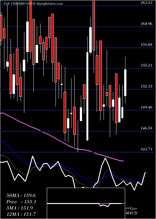  Daily chart ChembondChemical