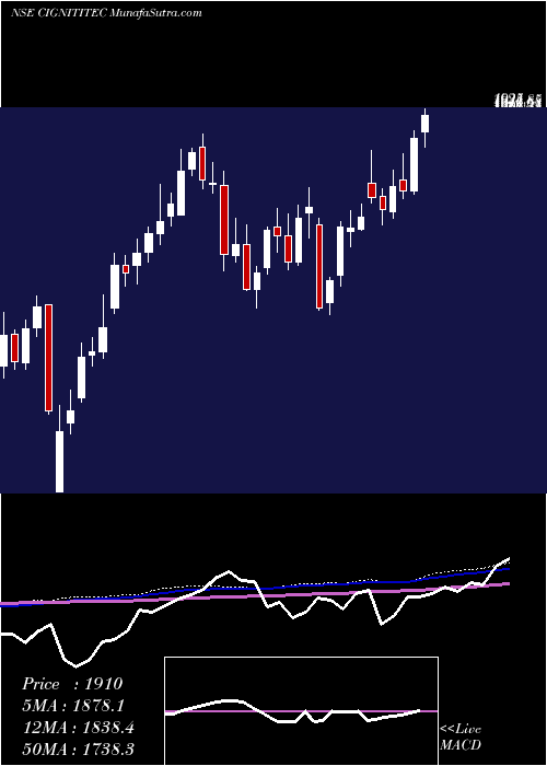  weekly chart CignitiTechnologies