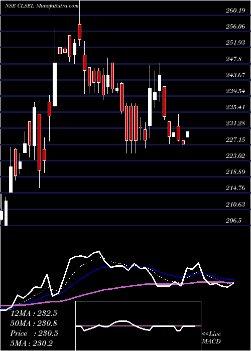  Daily chart ChamanLal