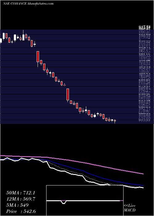  Daily chart CohanceLifesciences