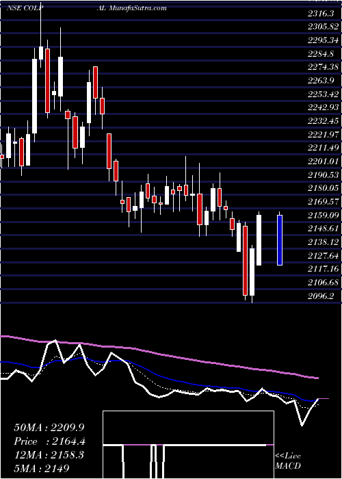  Daily chart ColgatePalmolive