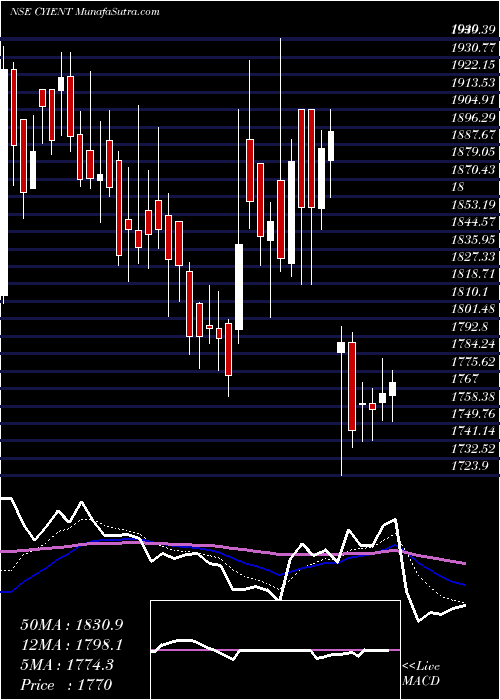  Daily chart Cyient