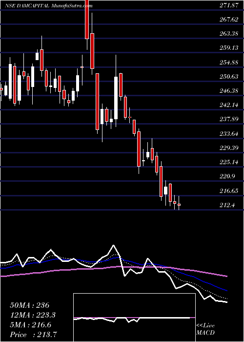  Daily chart DamCapital