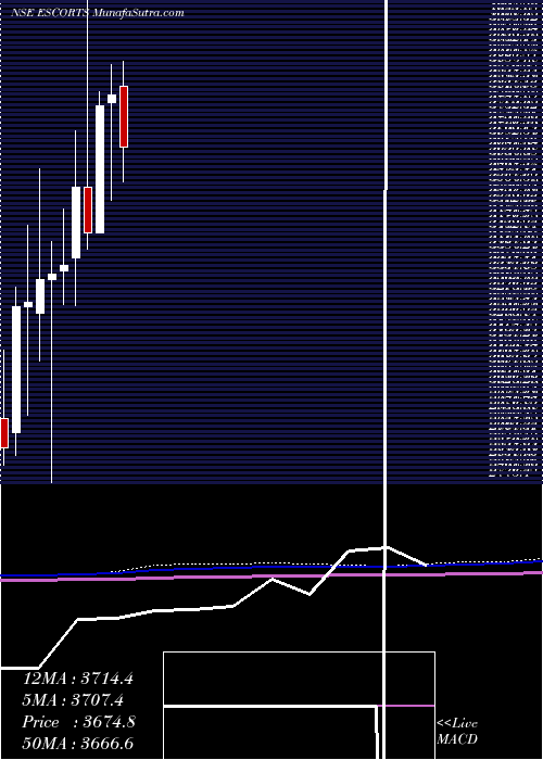  monthly chart Escorts
