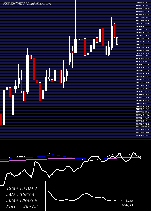  weekly chart Escorts