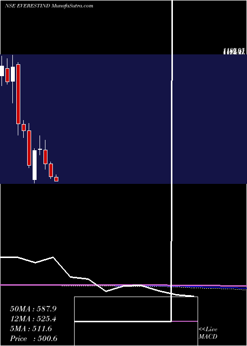  monthly chart EverestIndustries