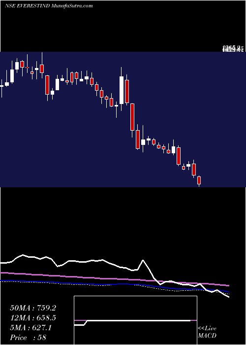  weekly chart EverestIndustries