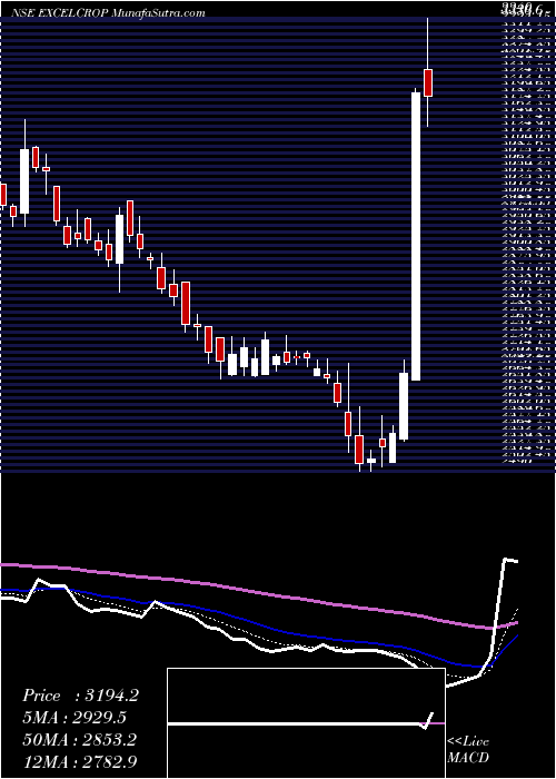  Daily chart Excel Crop Care Limited