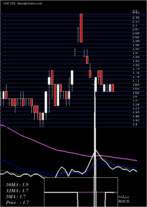  Daily chart FutureEnterp