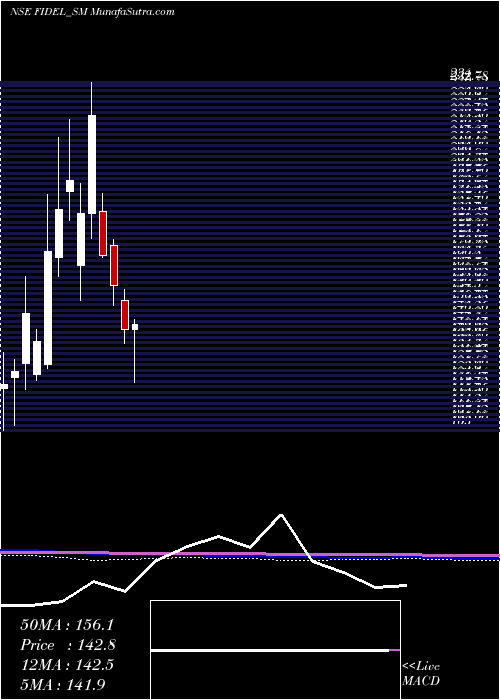  monthly chart FidelSoftech