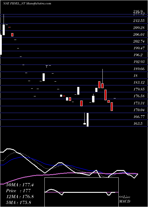  Daily chart Fidel Softech Limited