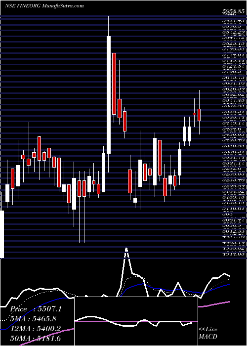  Daily chart FineOrganic