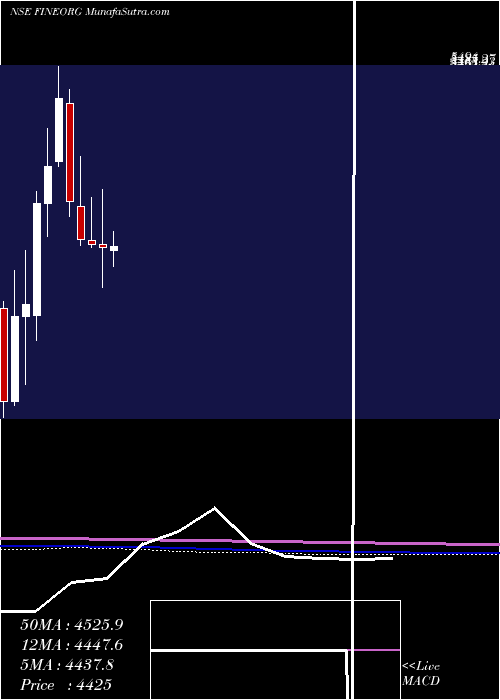  monthly chart FineOrganic