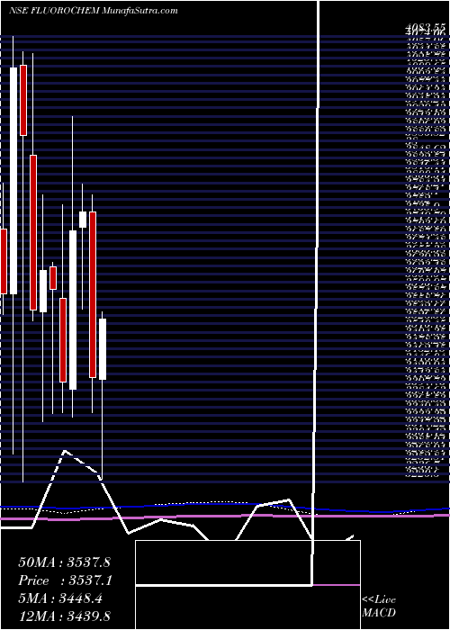  monthly chart GujaratFluorochem
