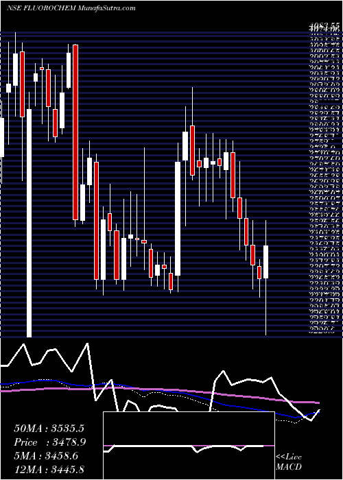  weekly chart GujaratFluorochem