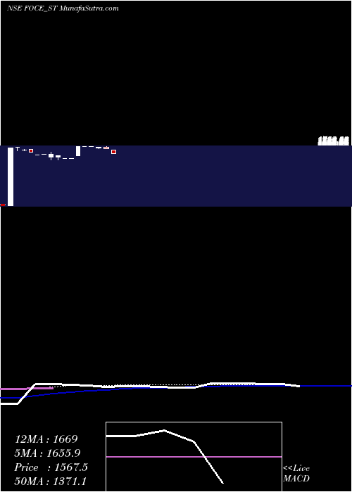  weekly chart FoceIndia