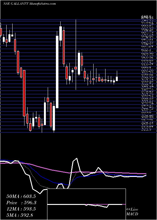 Daily chart GallanttMetal