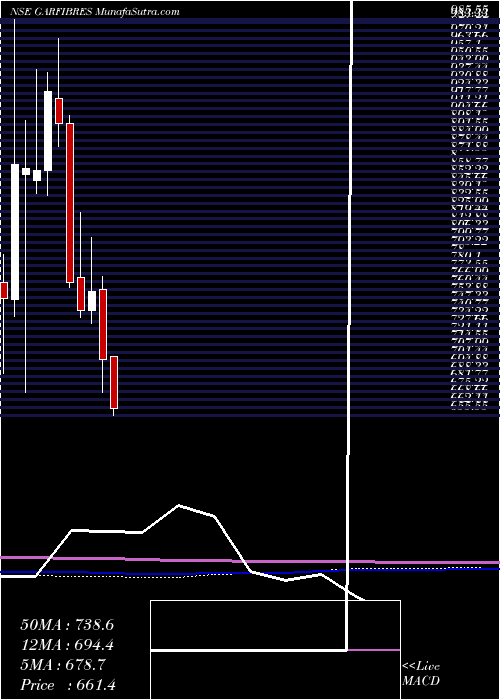  monthly chart GarwareTech