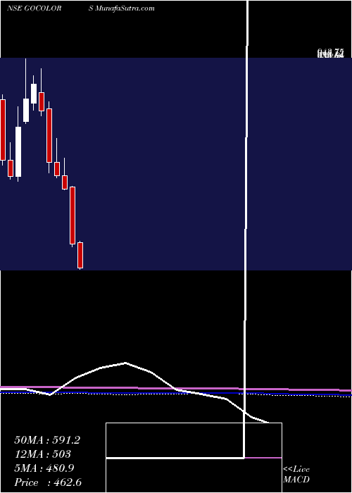  monthly chart GoFashion