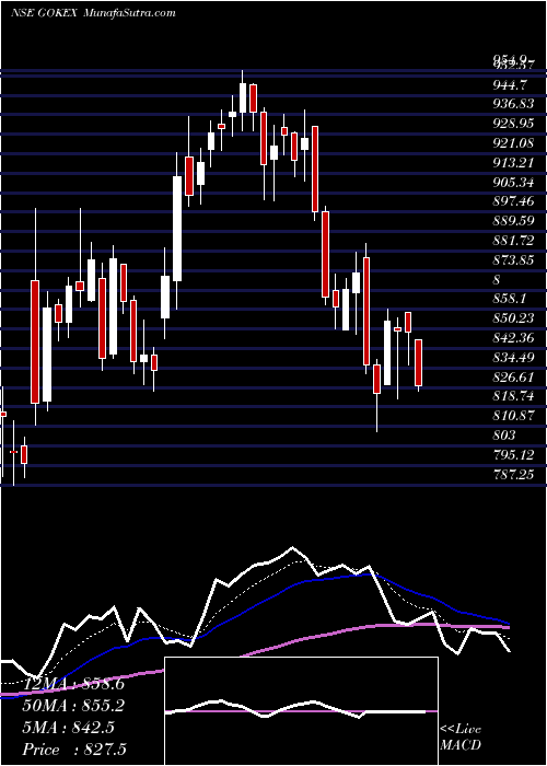  Daily chart GokaldasExports