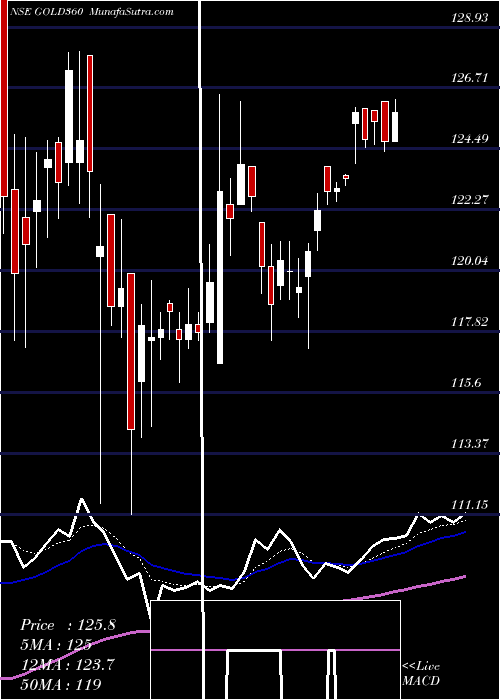  Daily chart 360oneamcGold360