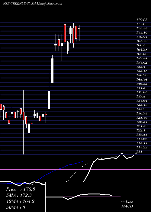  Daily chart Greenleaf Envirotech Ltd