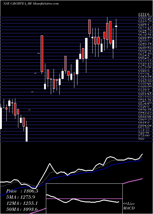  Daily chart GrobTea