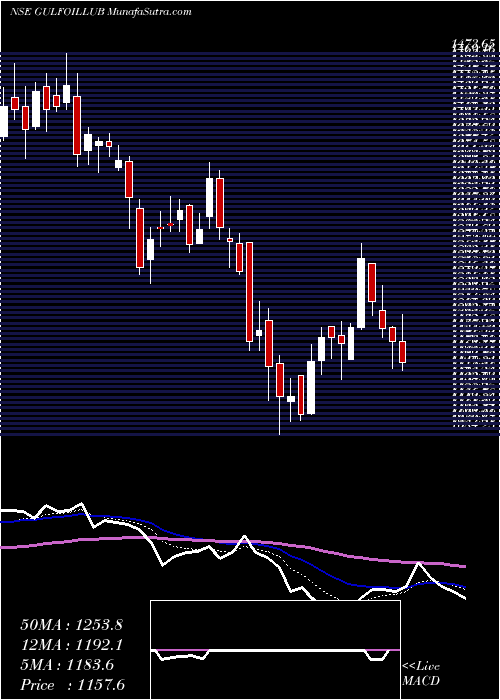  Daily chart Gulf Oil Lubricants India Limited