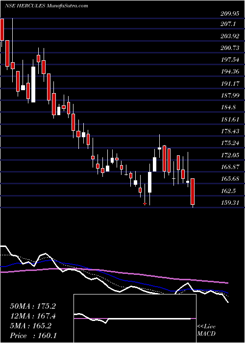  Daily chart HerculesHoists