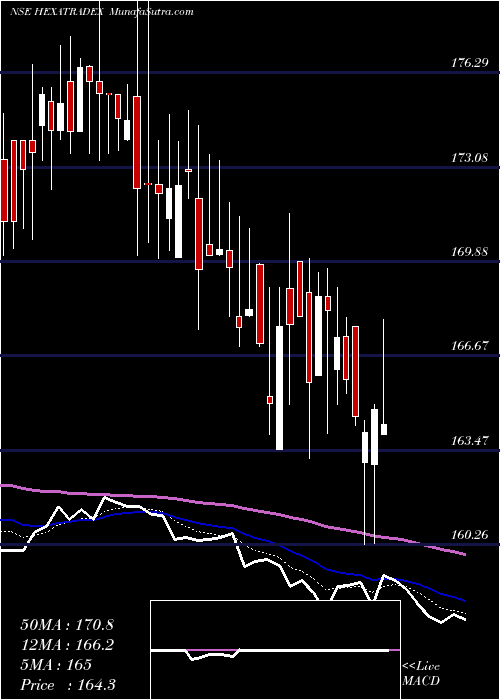  Daily chart HexaTradex