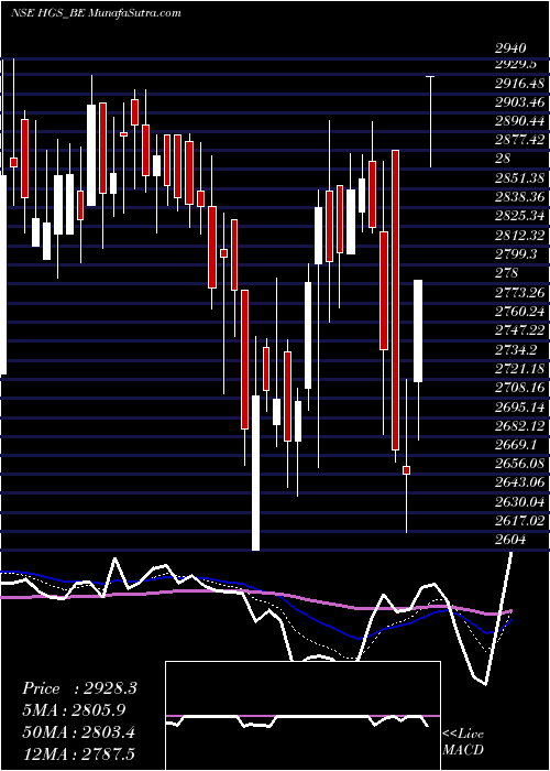  Daily chart HindujaGlobal