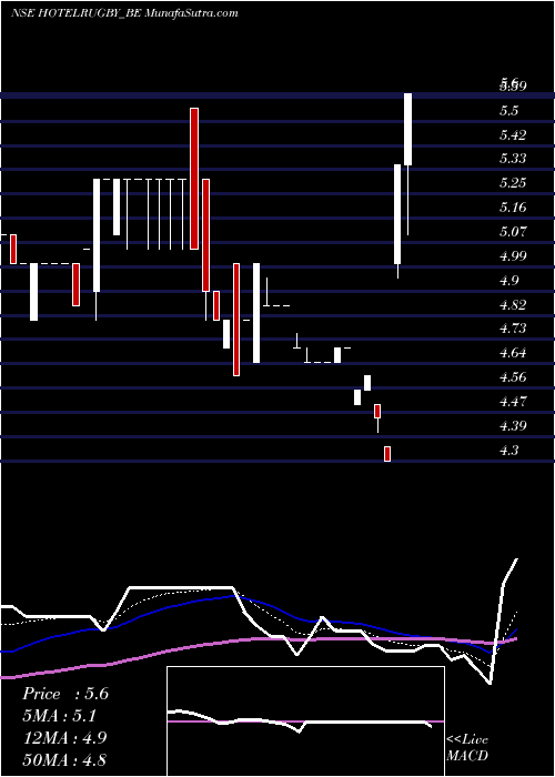  Daily chart HotelRugby