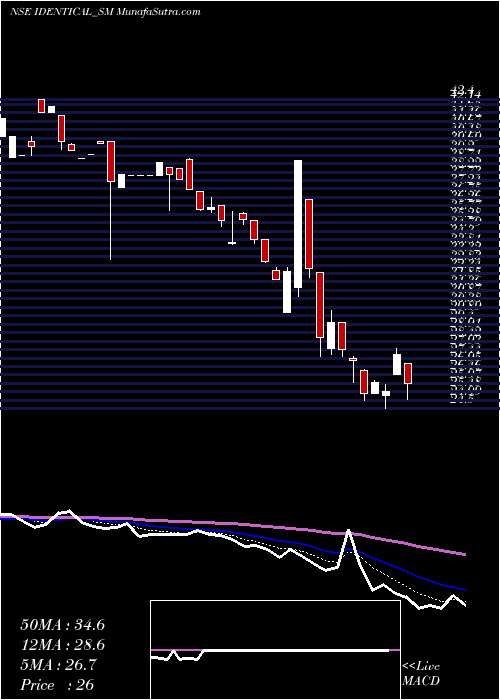  Daily chart Identical Brains Studio L