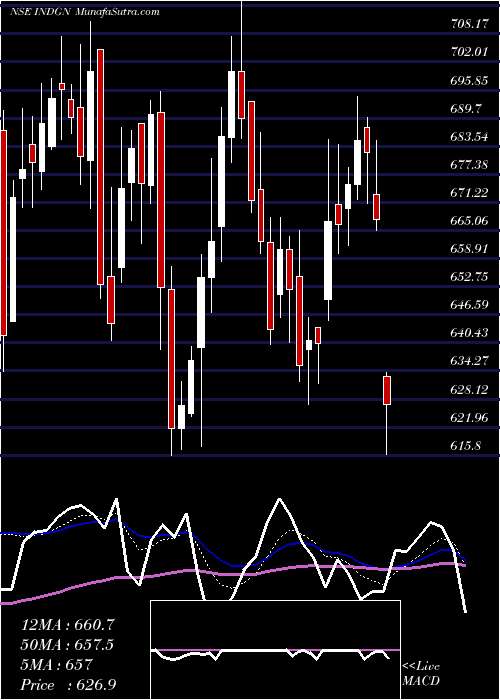  Daily chart Indegene Limited