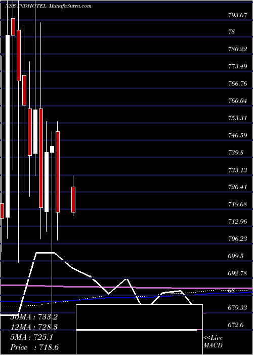 monthly chart IndianHotels