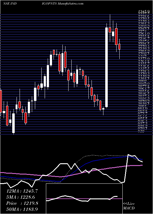  weekly chart IndigoPaints
