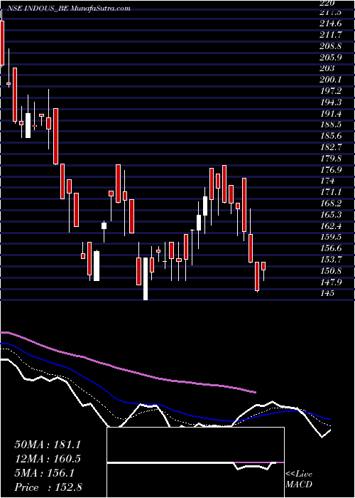  Daily chart Indo Us Biotech Ltd