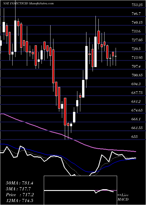  Daily chart Insecticides (India) Limited