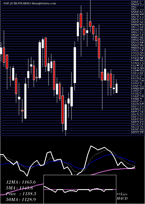  Daily chart JubilantPharmova