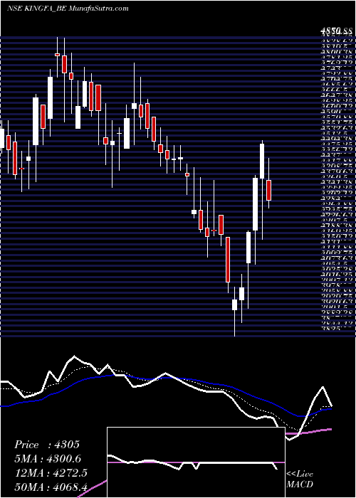  Daily chart KingfaSci