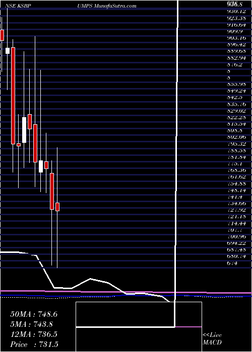  monthly chart KsbPumps