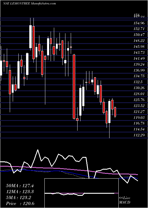  weekly chart LemonTree